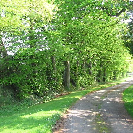 Ballinclea House Bed And Breakfast Brittas Bay エクステリア 写真